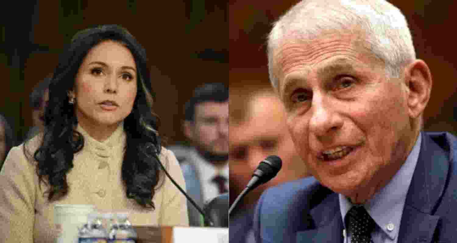 Tulsi Gabbard and Dr Anthony Fauci