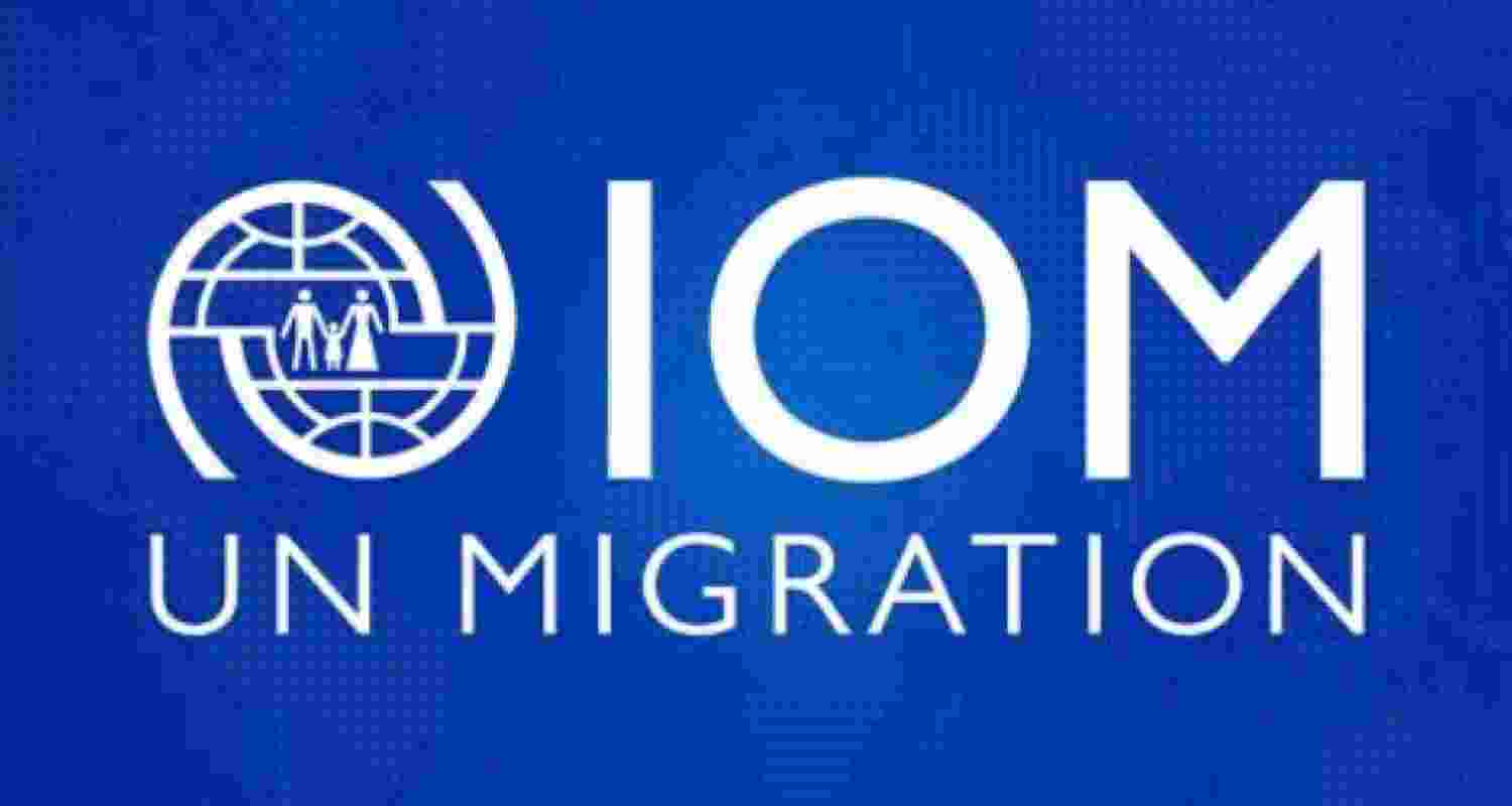 Nearly 8K migrants died or went missing in 2025: UN