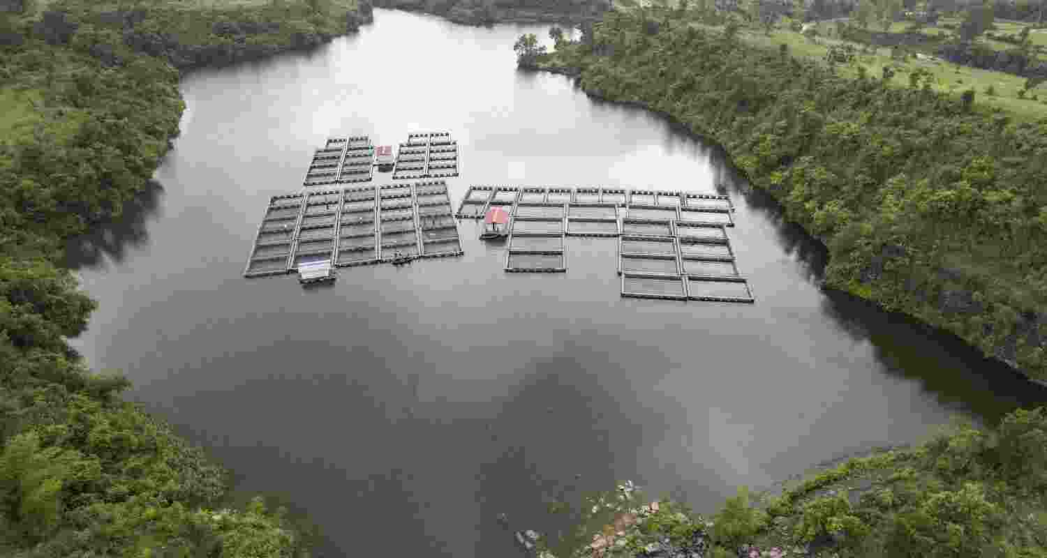Fish cages in what used to be coal pits in Jharkhand