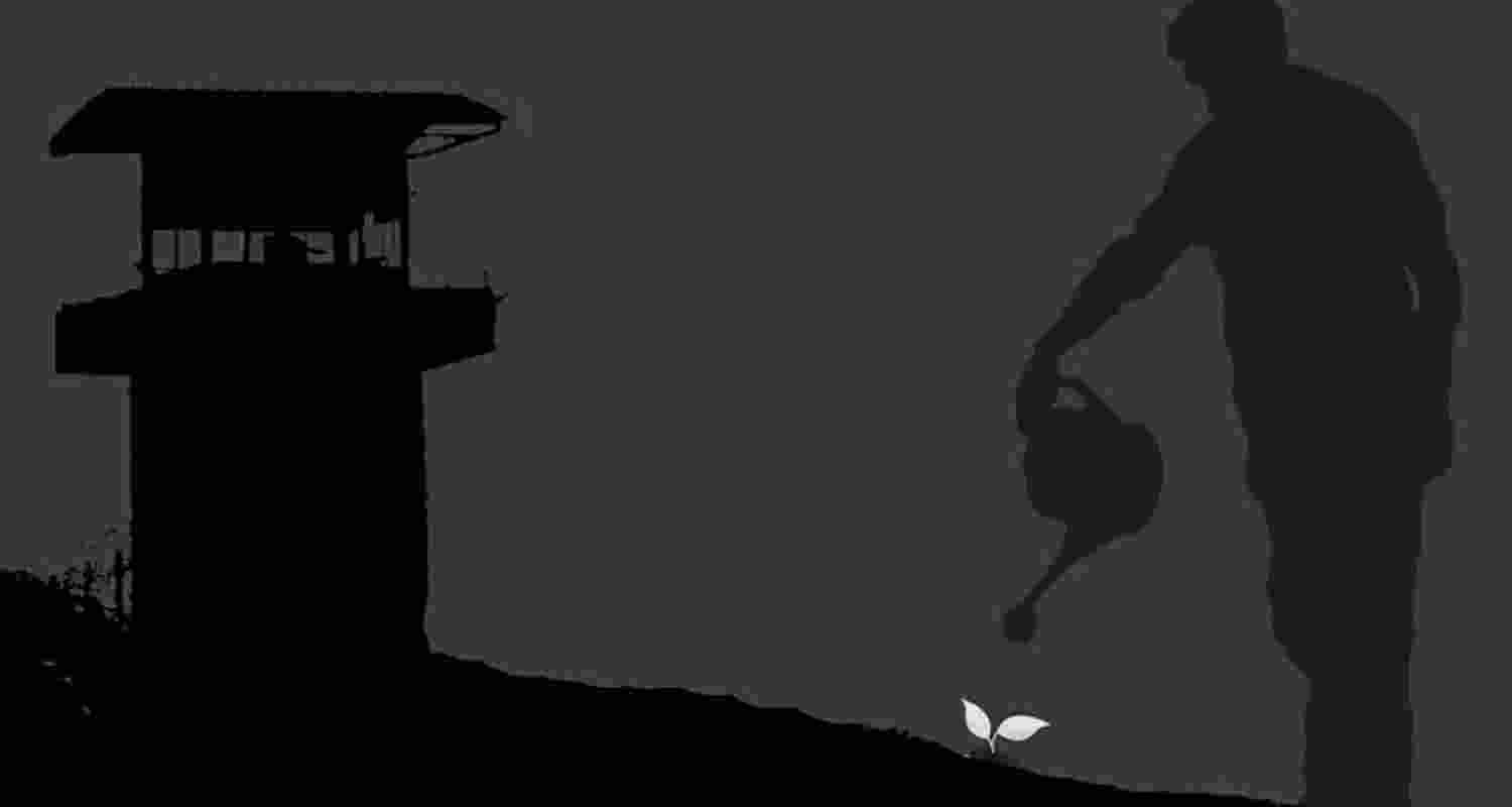 SC's 'no' to  tree plantation 'condition' for bail of murder conv