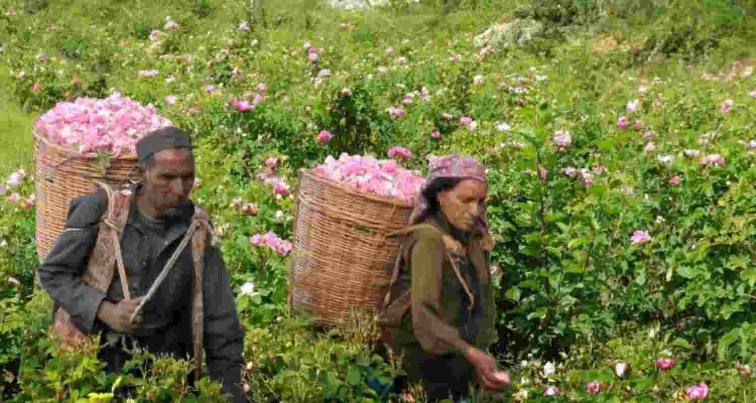 Representational Image.