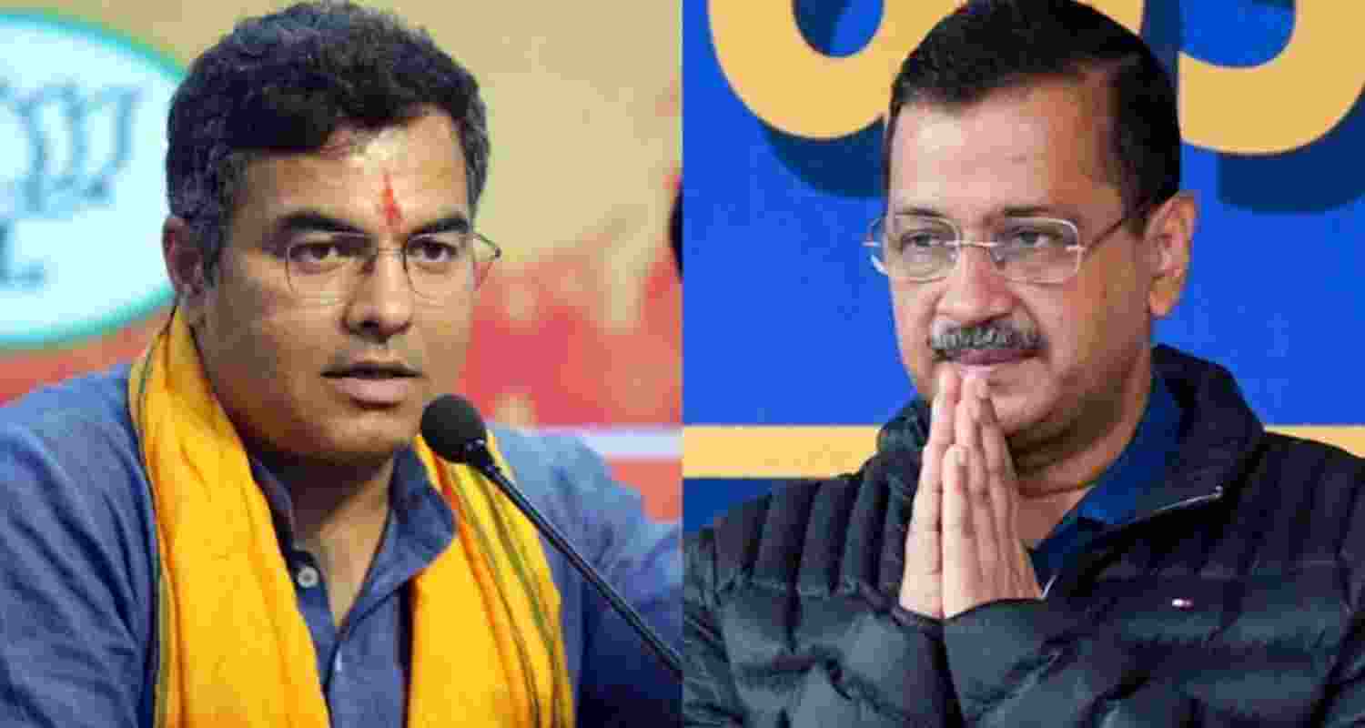 BJP's Parvesh Verma says AAP's Arvind Kejriwal has no chance to win Delhi CM post.