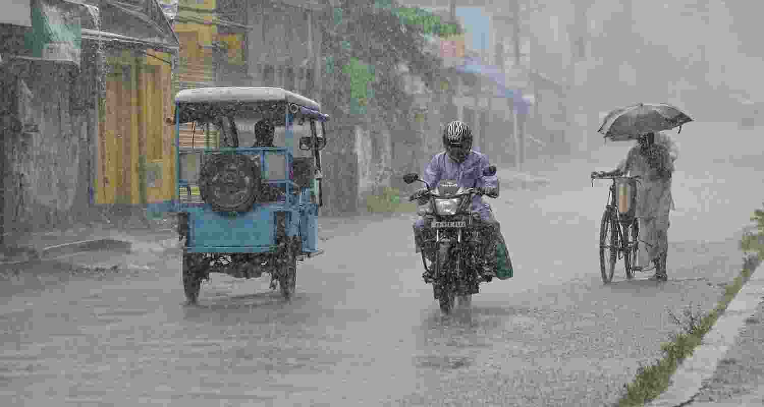 IMD predicts surplus rain boosting harvest hopes.