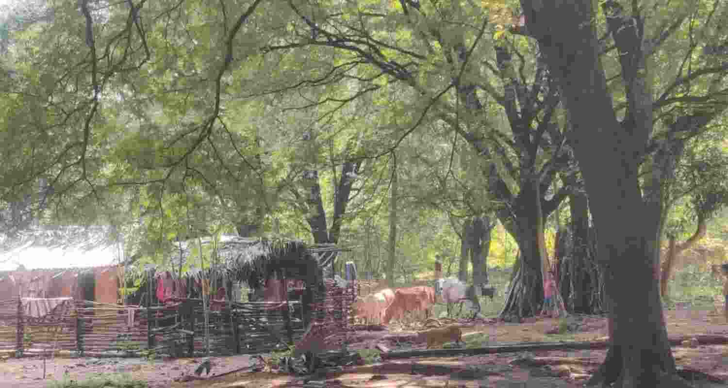 Chhattisgarh Village to Get ₹1 Cr for Being Naxal-Free. File Photo of Sukma Village.