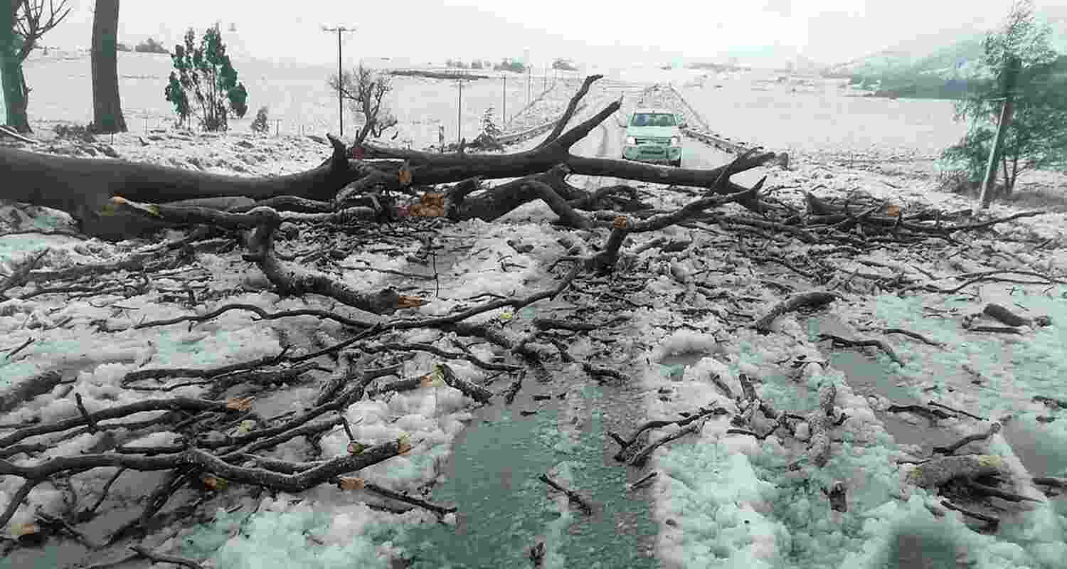Torrential rains and snow wreak havoc in South Africa.
