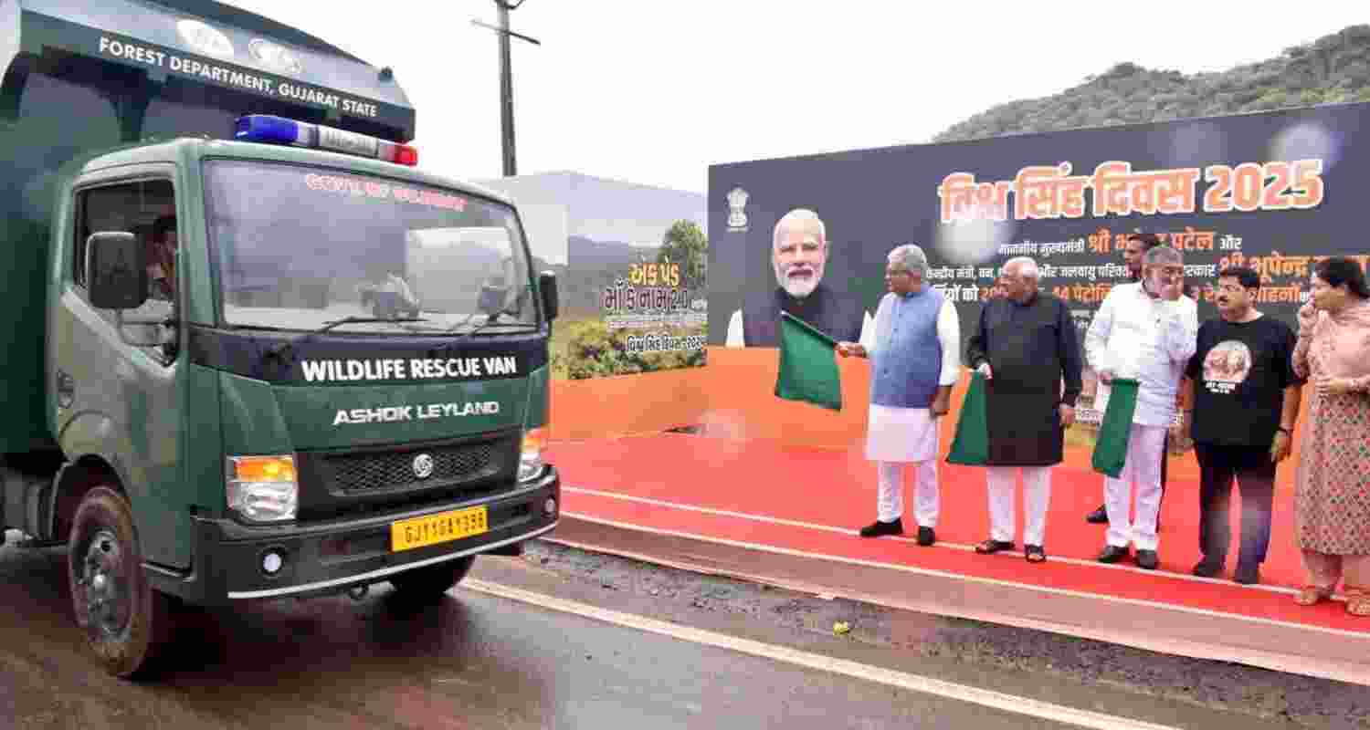 Barda Sanctuary welcomes lions boosting eco tourism.