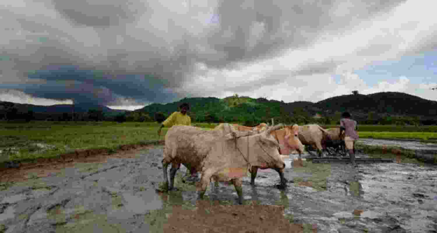 Gujarat approves Rs 947 crore package for crop loss relief.