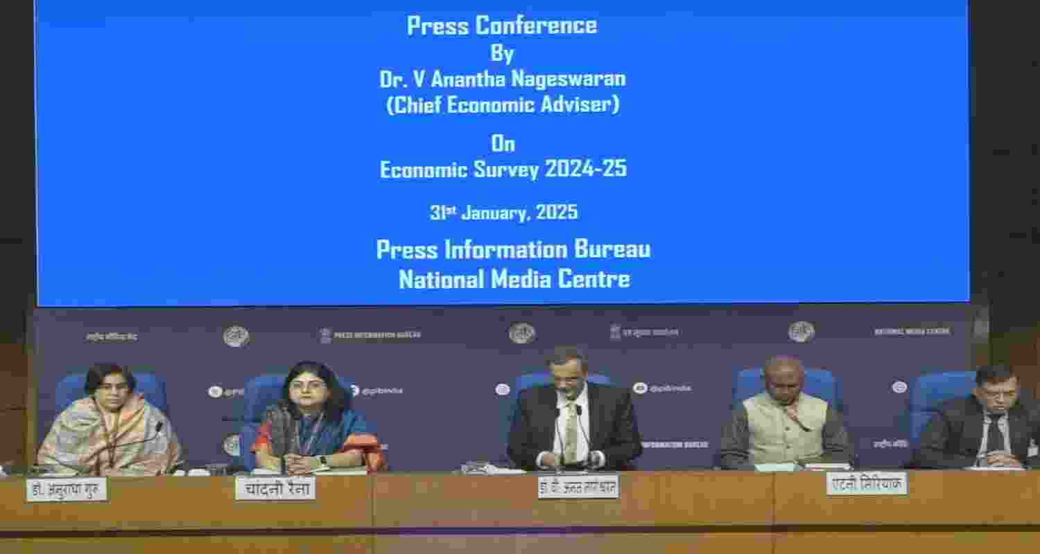 Excessive financialisation can hurt the economy: Eco Survey