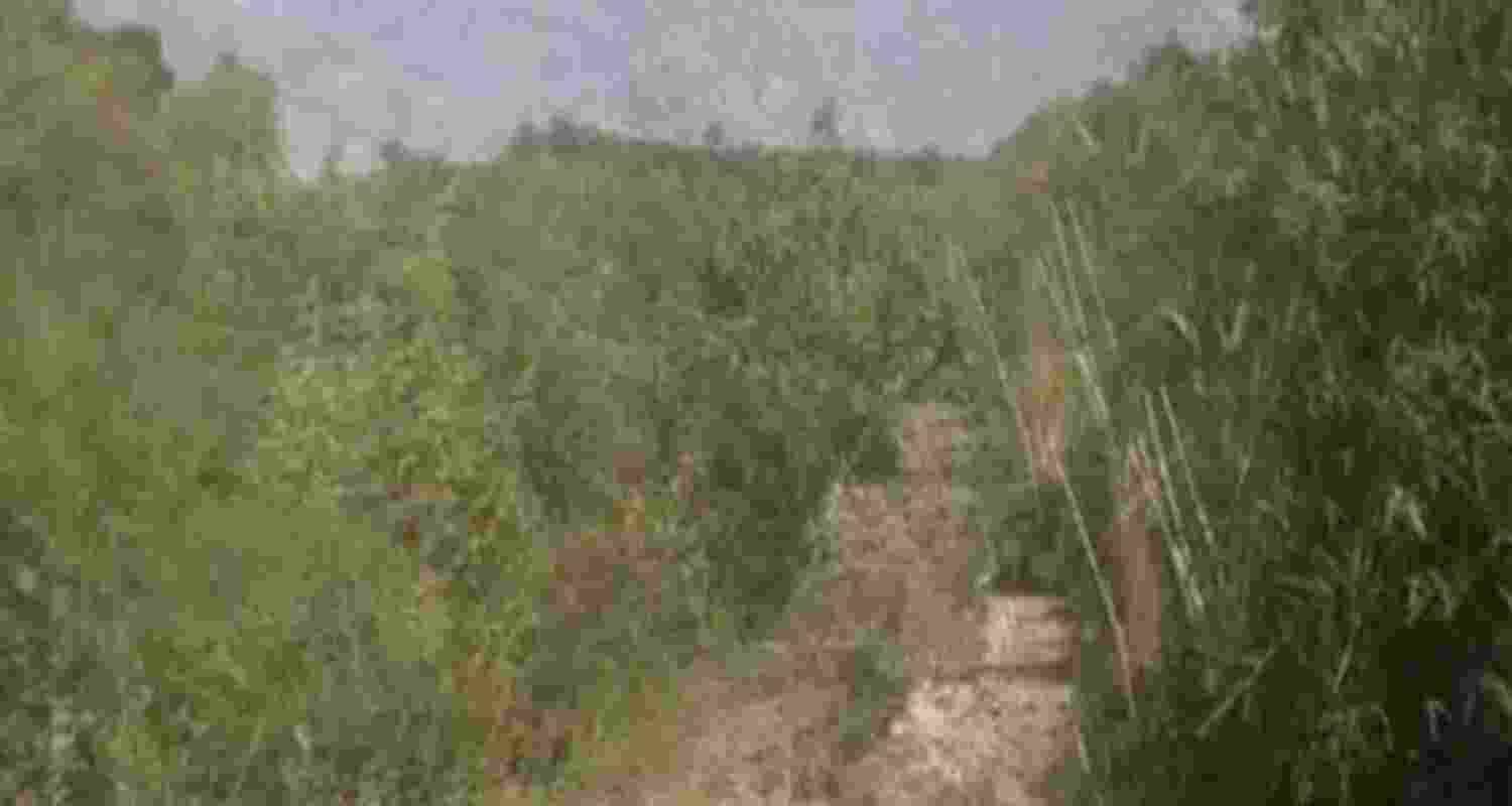 The site in Narwal where shells were defused by J&K Police