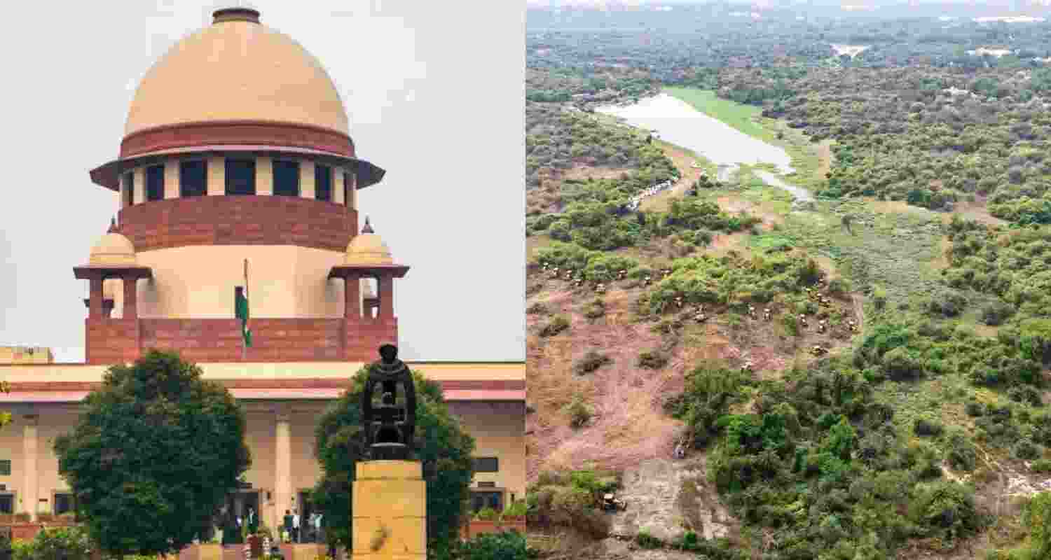 SC halts tree felling in Hyderabad forest area.