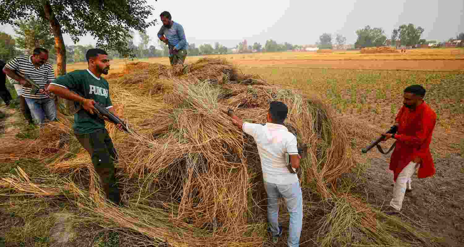 Jammu & Kashmir Police personnel along with Villager Defence Guard (VDG) members conduct a search operation after two VDC members were killed by terrorists, near International Border on the outskirts of Jammu, Friday.