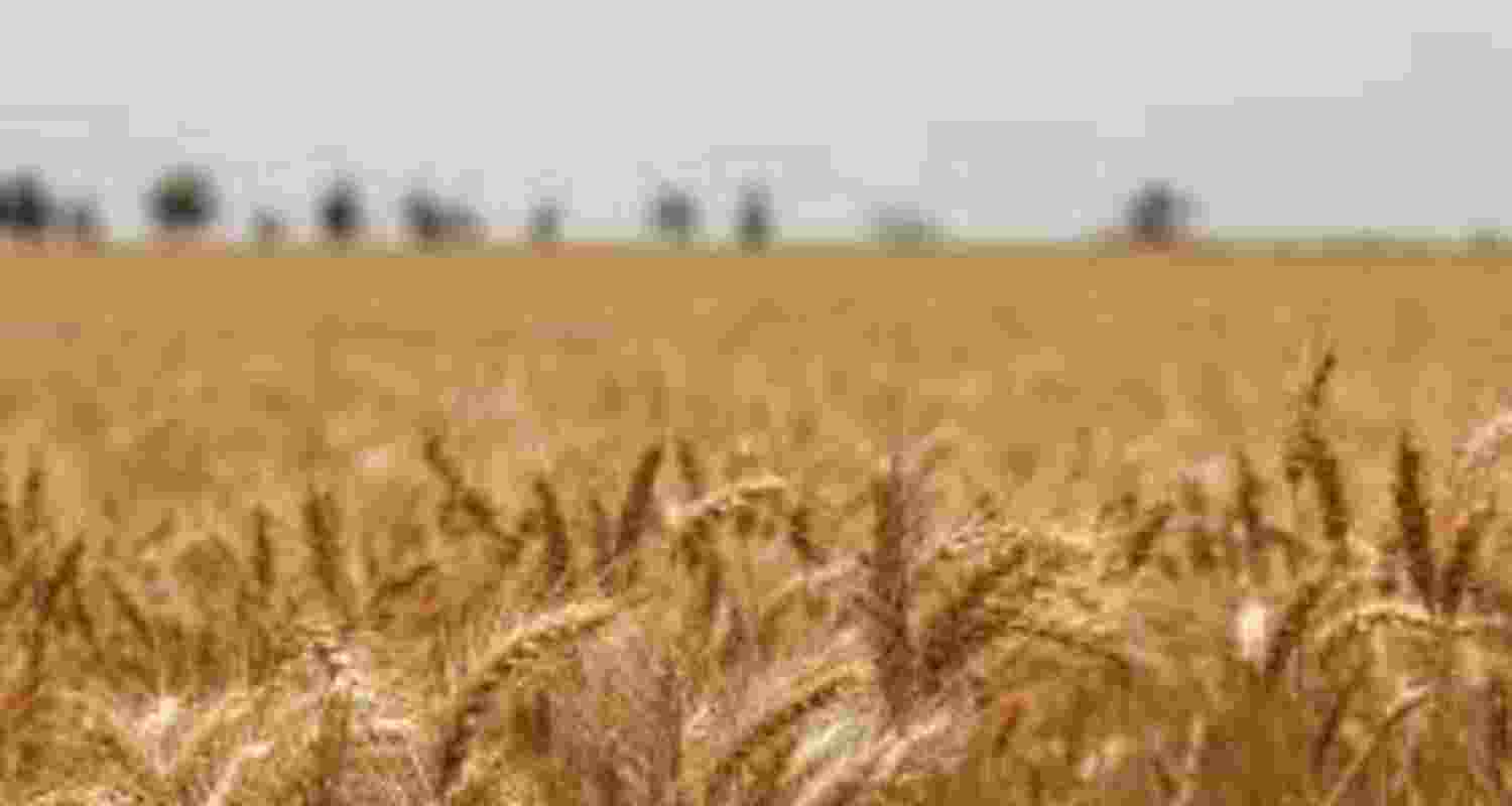 Stressing on the critical nature of issues such as food security and sustainable farming, Chaturvedi said agriculture represented not just an economic sector but a livelihood concern for millions of farmers in a populous, agrarian society like India