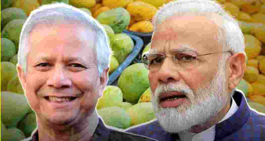 Bangladesh chief advisor Muhammad Yunus  (L) is sending premium mangoes to Indian Prime Minister Narendra Modi (R) in a symbolic gesture aimed at restoring warmth in the currently strained bilateral relationship.