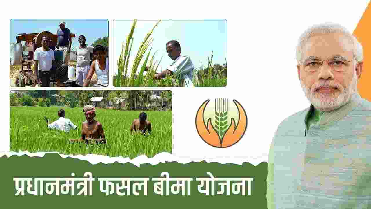Enrollment in Crop Insurance Scheme Surges; Farmers Benefit from PMFBY  Enrollment in Crop Insurance Scheme Surges; Farmers Benefit from PMFBY