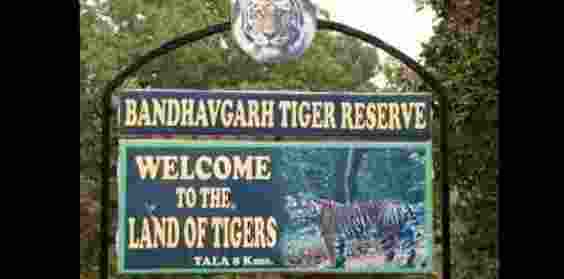 In a video going viral Assistant Forest Conservator Dilip Kumar Maratha from the BTR in Umaria district was seen threatening a man who had complained against him. In a video going viral Assistant Forest Conservator Dilip Kumar Maratha from the BTR in Umaria district was seen threatening a man who had complained against him.