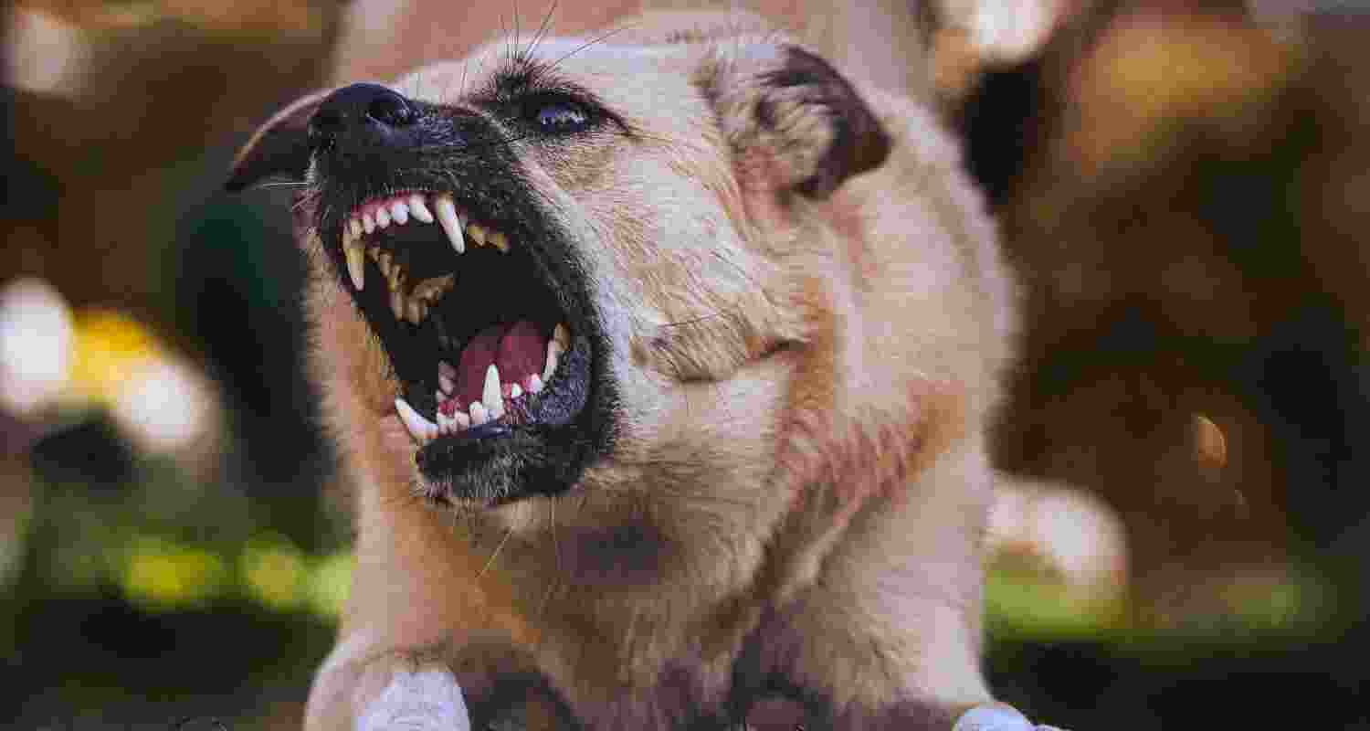 Representative Image. Representative Image.