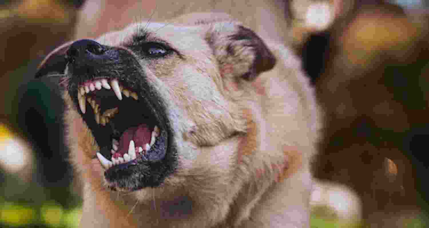 Representative Image. Representative Image.