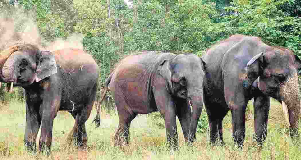 A representative image. A representative image.