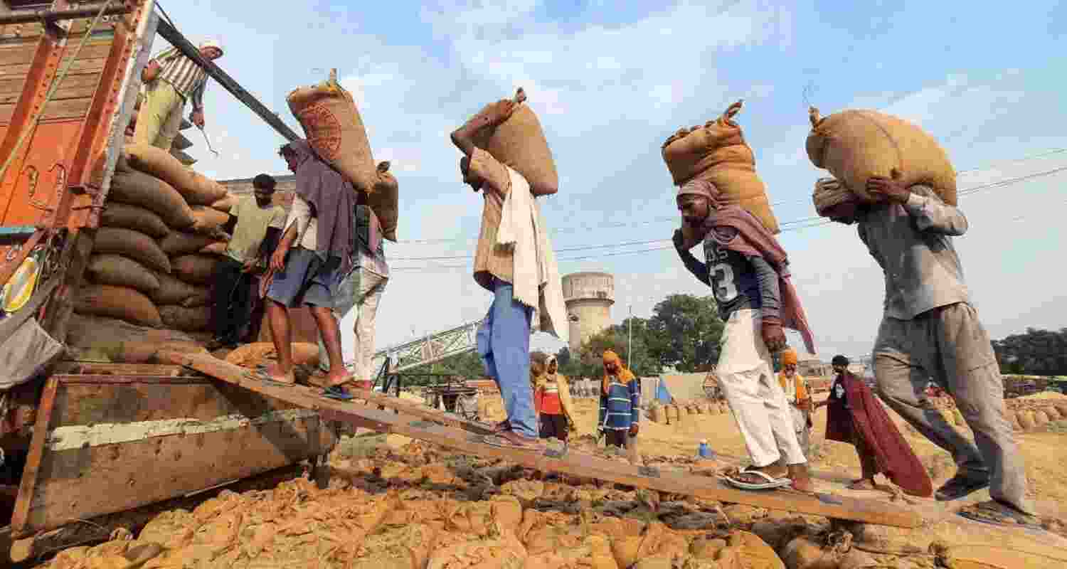 India produced around 150 million tonnes of rice in 2024-25 from nearly 47 million hectares, accounting for about 28 per cent of global output India produced around 150 million tonnes of rice in 2024-25 from nearly 47 million hectares, accounting for about 28 per cent of global output