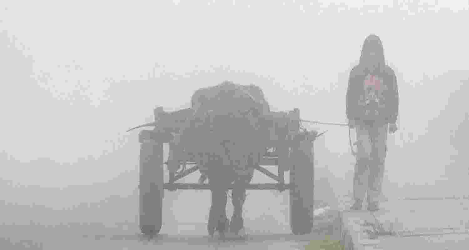 Delhi Environment Minister Manjinder Singh Sirsa on Friday urged residents to continue following pollution-control measures, especially since weather conditions are likely to turn unfavourable with increased chances of dense fog and haze, which exacerbate pollution levels Delhi Environment Minister Manjinder Singh Sirsa on Friday urged residents to continue following pollution-control measures, especially since weather conditions are likely to turn unfavourable with increased chances of dense fog and haze, which exacerbate pollution levels