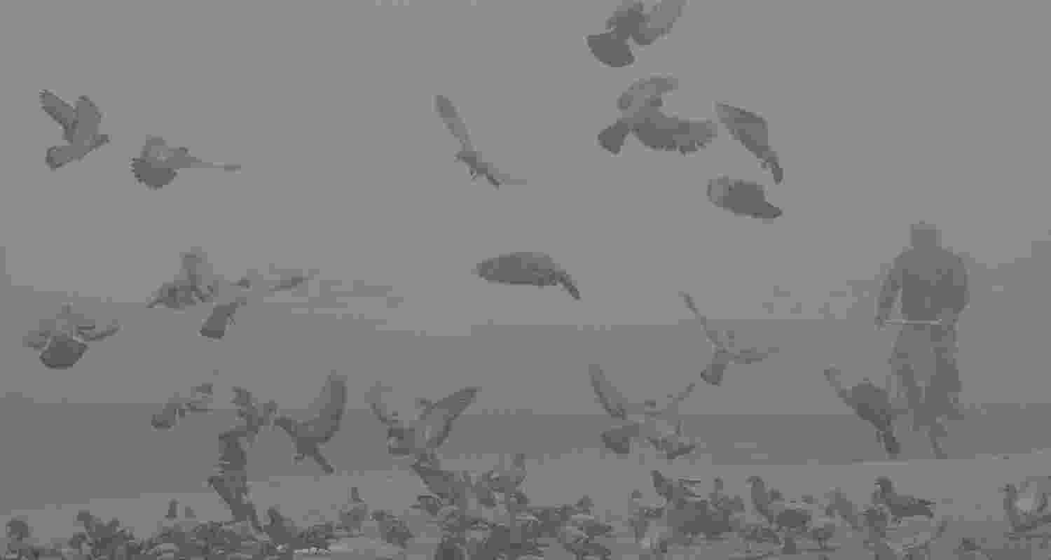 Favourable meteorological conditions, particularly surface wind speeds of 15 to 25 kilometers per hour, helped improve air quality in the capital, the CPCB said Favourable meteorological conditions, particularly surface wind speeds of 15 to 25 kilometers per hour, helped improve air quality in the capital, the CPCB said