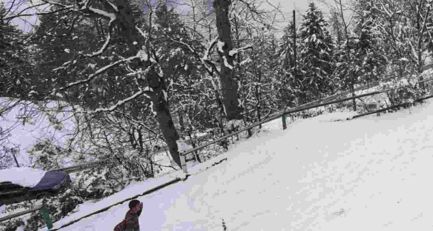 Locals walk on a snow covered road after a fresh spell of snowfall, at Kufri near Shimla, Tuesday. Locals walk on a snow covered road after a fresh spell of snowfall, at Kufri near Shimla, Tuesday.