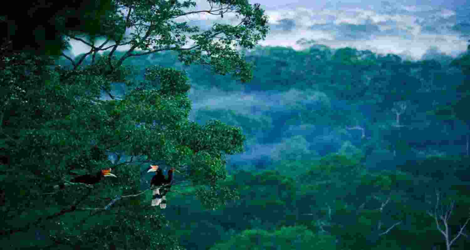 India’s biodiversity plan targets 30% protected areas India’s biodiversity plan targets 30% protected areas