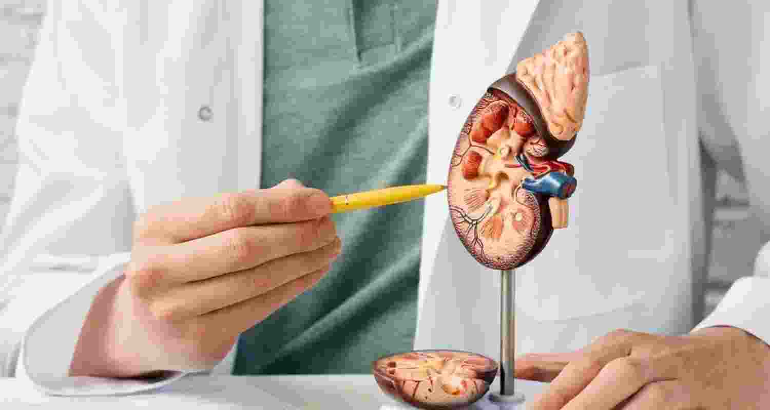 Early detection helps prevent severe kidney disease Early detection helps prevent severe kidney disease