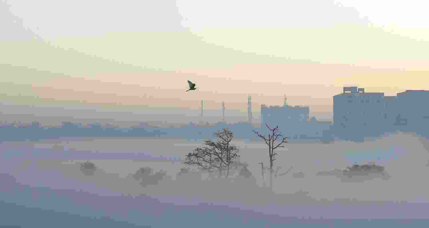 Additionally, air quality in the national capital region improved marginally to the ‘very poor’ category at 388 on Tuesday morning, marking a marginal improvement from Monday, when the city’s air quality stood at the ‘severe’ category with a reading of 401 Additionally, air quality in the national capital region improved marginally to the ‘very poor’ category at 388 on Tuesday morning, marking a marginal improvement from Monday, when the city’s air quality stood at the ‘severe’ category with a reading of 401