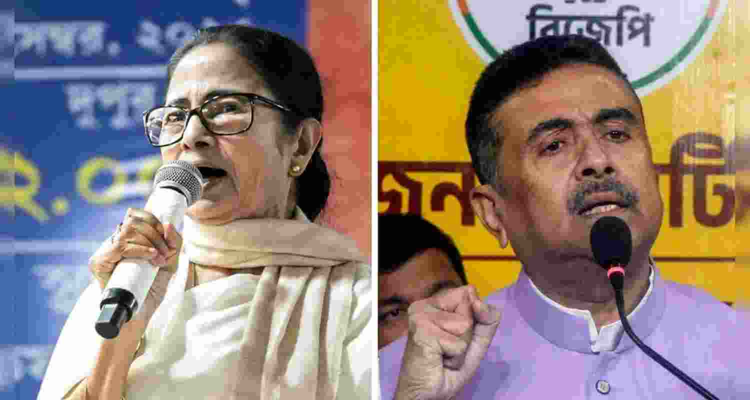 A representative image. A representative image.