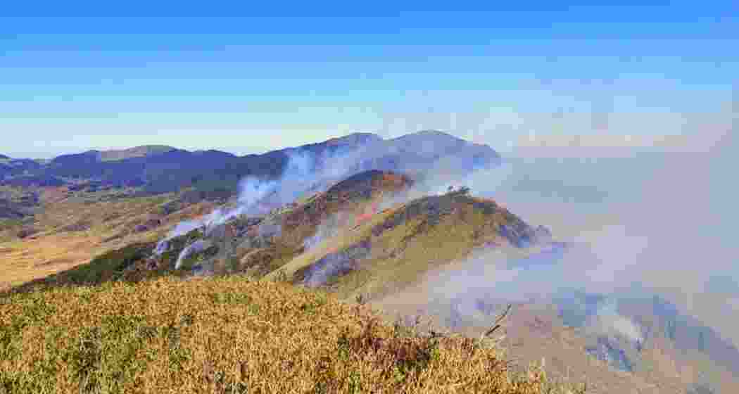 The wildfire has engulfed Nagaland’s Dzukou Valley, and is now spreading toward Mount Esii in Manipur. The wildfire has engulfed Nagaland’s Dzukou Valley, and is now spreading toward Mount Esii in Manipur.