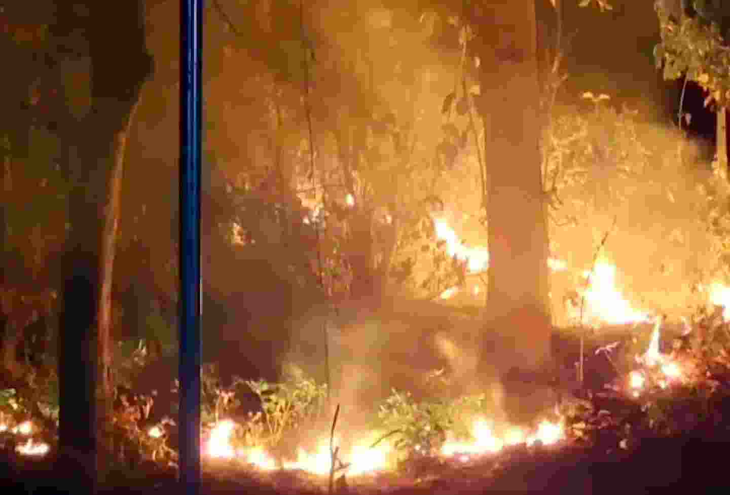 Nainital forest fires reach main town area, Army called in Nainital forest fires reach main town area, Army called in