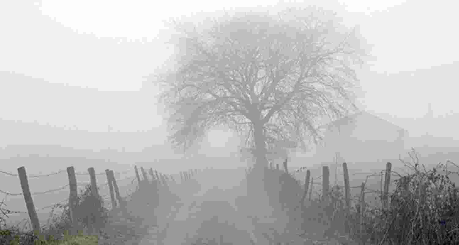 Representational image. Representational image.