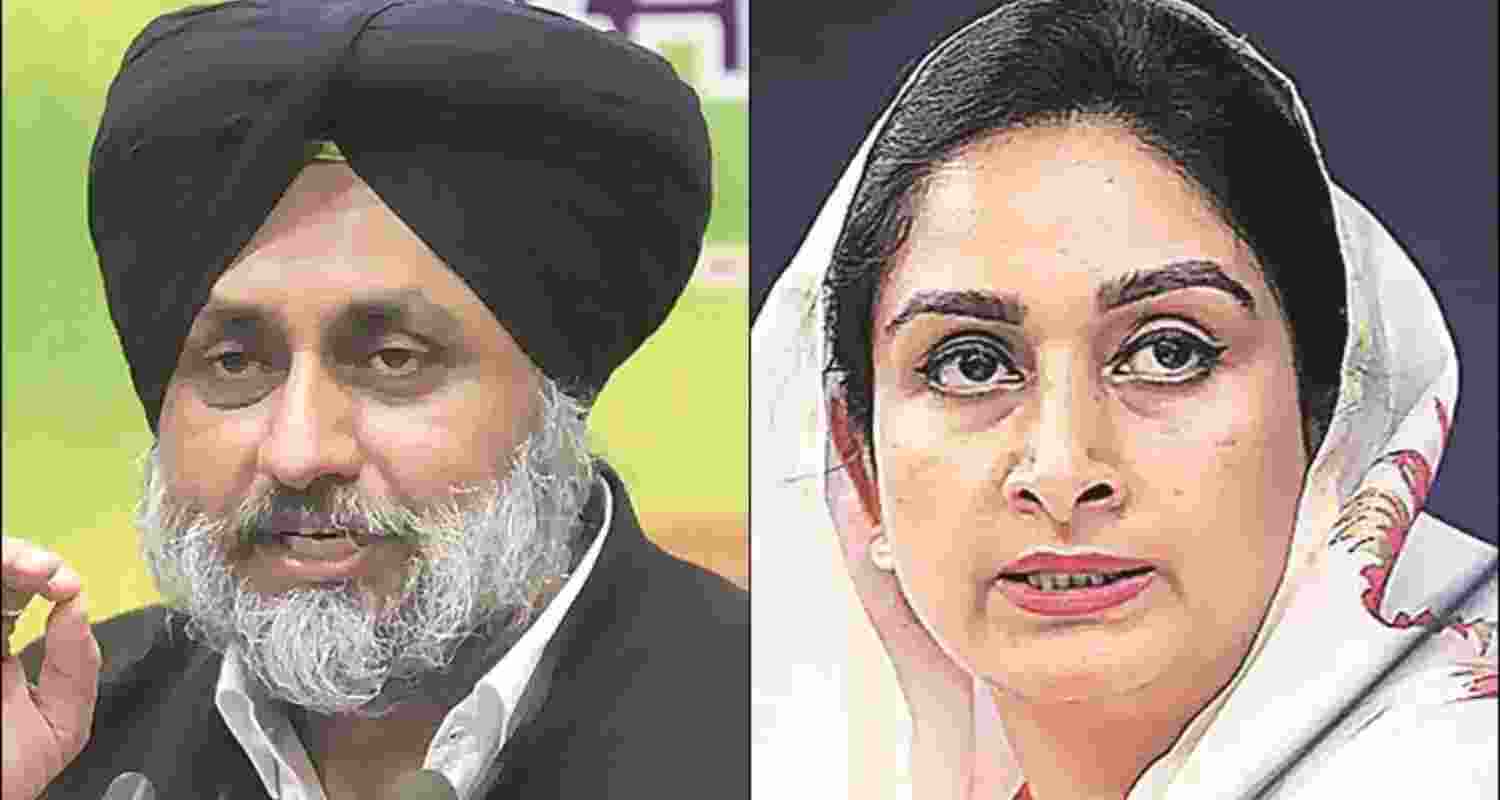 Senior Shiromani Akali Dal leaders Sukhbir and Harsimrat Kaur Badal  Senior Shiromani Akali Dal leaders Sukhbir and Harsimrat Kaur Badal