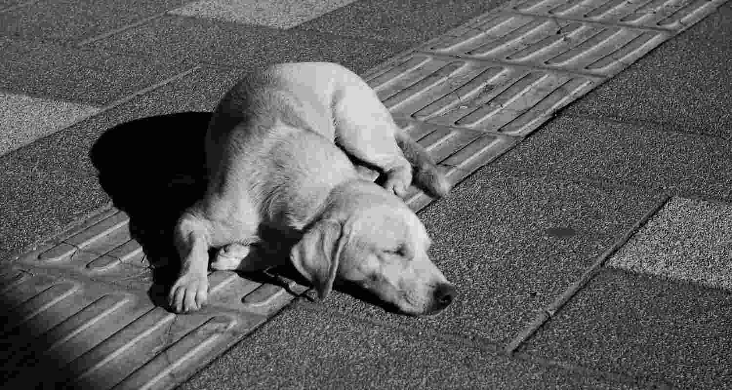 Representative Image. Representative Image.