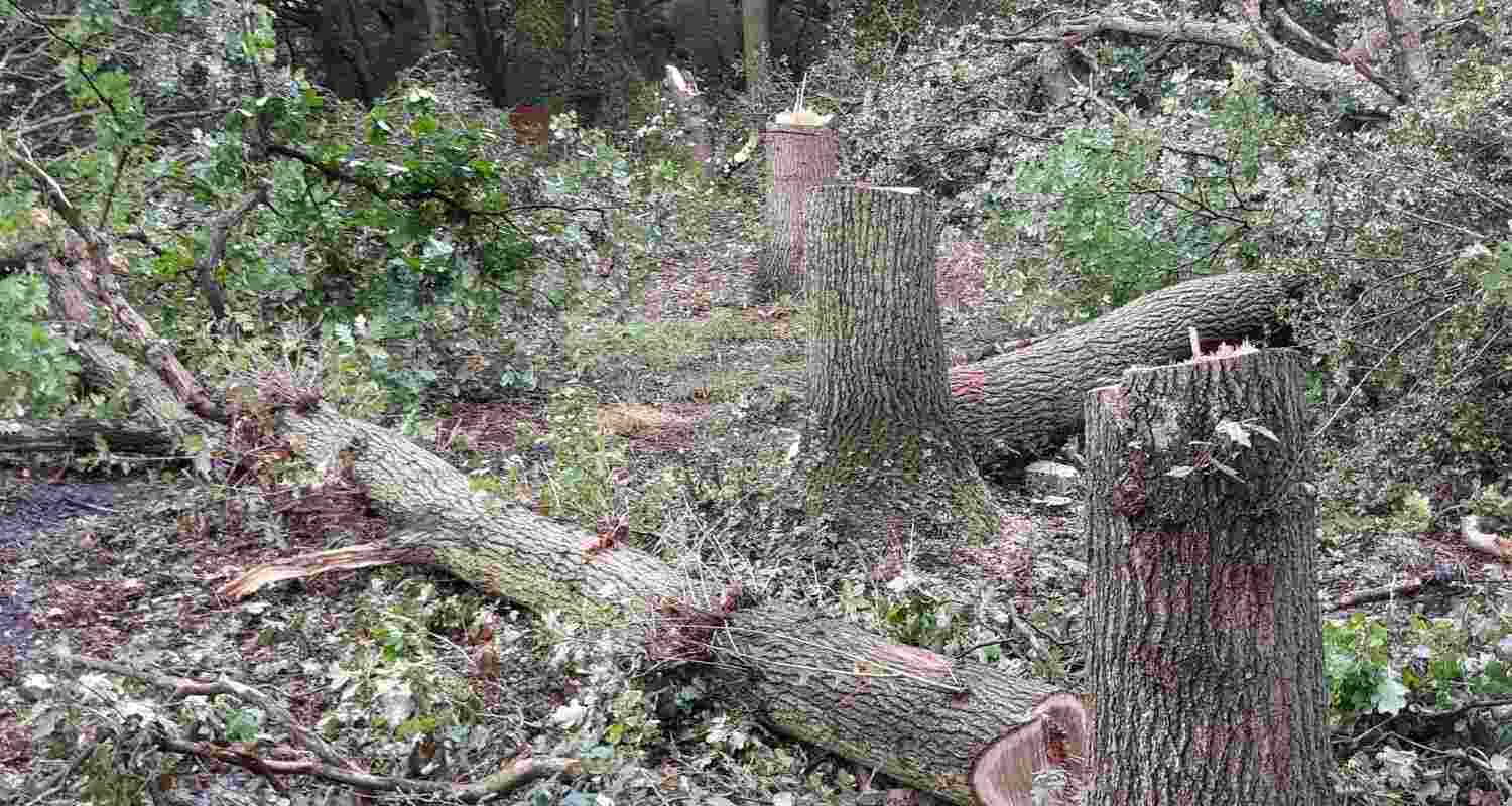 Representational image. Representational image.