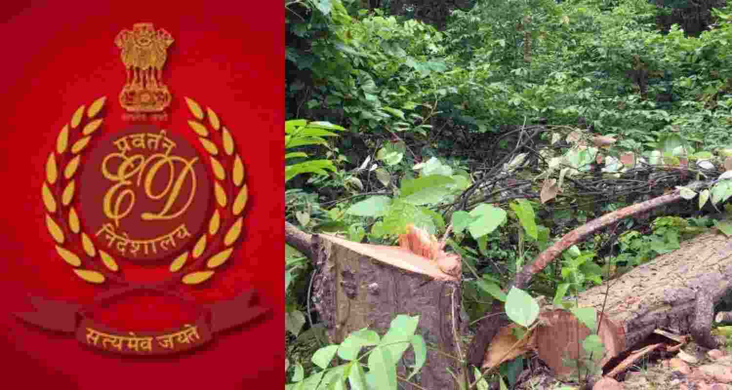 Bokaro Forest Land Scam: ED Eyes Money Laundering Angle. Bokaro Forest Land Scam: ED Eyes Money Laundering Angle.