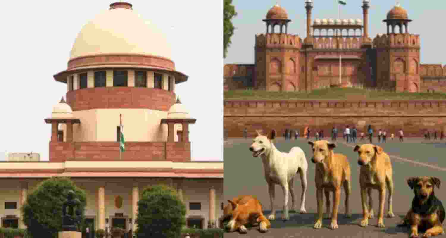 SC allows bite victims to intervene in stray dogs case at no cost SC allows bite victims to intervene in stray dogs case at no cost