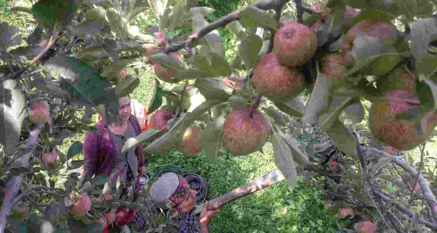 Representational image. Representational image.