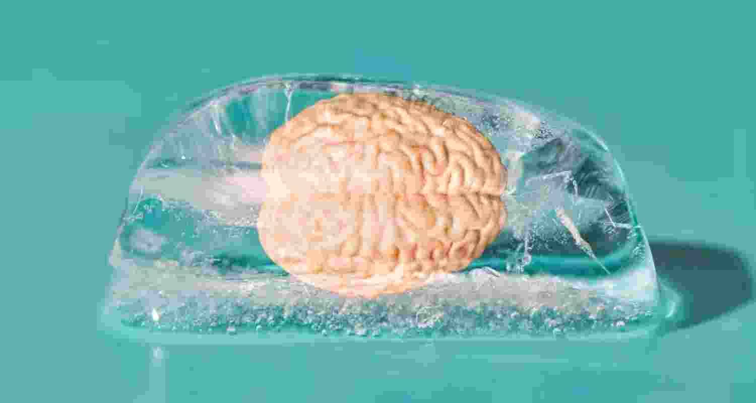 Science behind ice cream brain freeze explained Science behind ice cream brain freeze explained