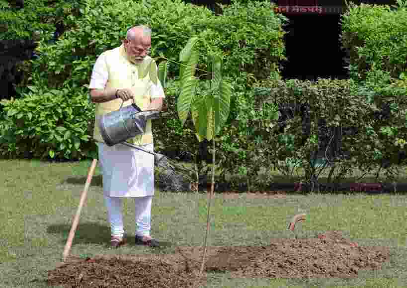 PM Modi plants sapling gifted by British King on his 75th B'day PM Modi plants sapling gifted by British King on his 75th B'day