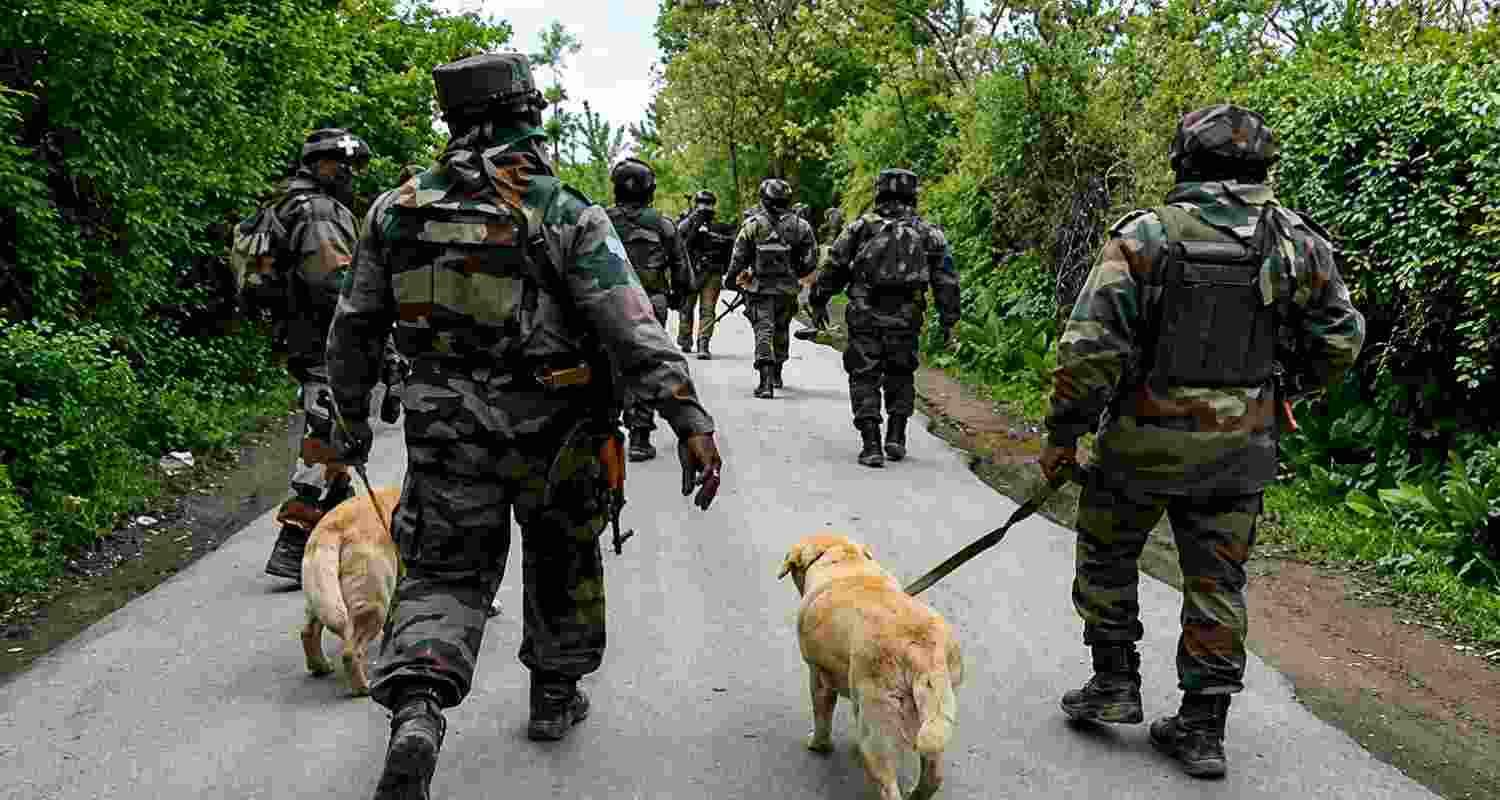 Operation Sheruwali entered its 37th day in Rajouri as security forces continued combing dense forests to track militants hiding in the area. Operation Sheruwali entered its 37th day in Rajouri as security forces continued combing dense forests to track militants hiding in the area.
