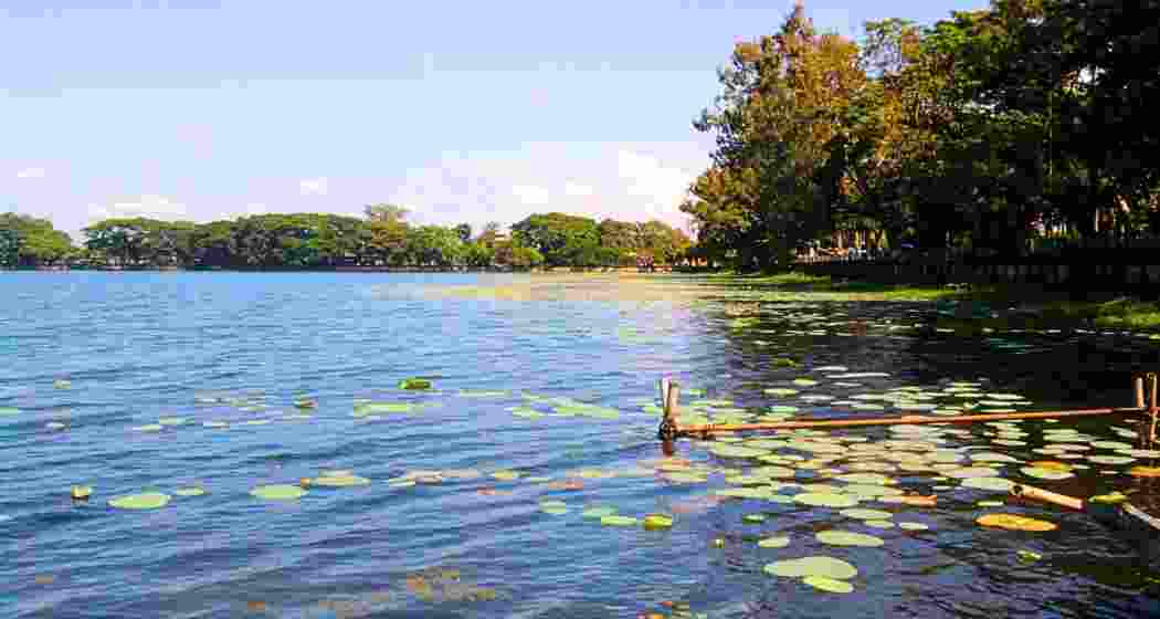 The Joysagar Tank in Assam's Sivasagar. The Joysagar Tank in Assam's Sivasagar.