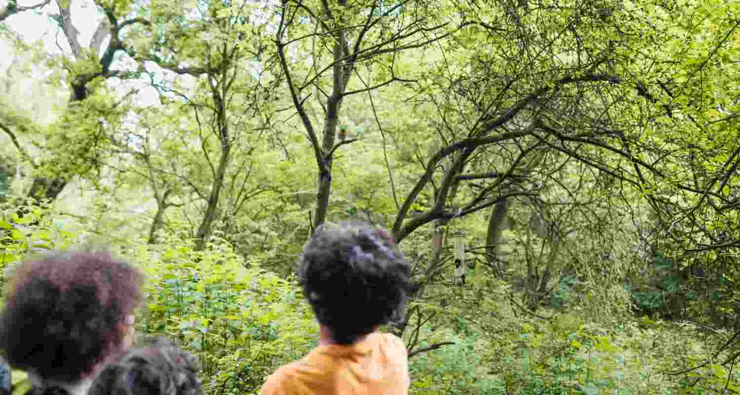 Andaman to promote bird watching, boost eco-awareness Andaman to promote bird watching, boost eco-awareness