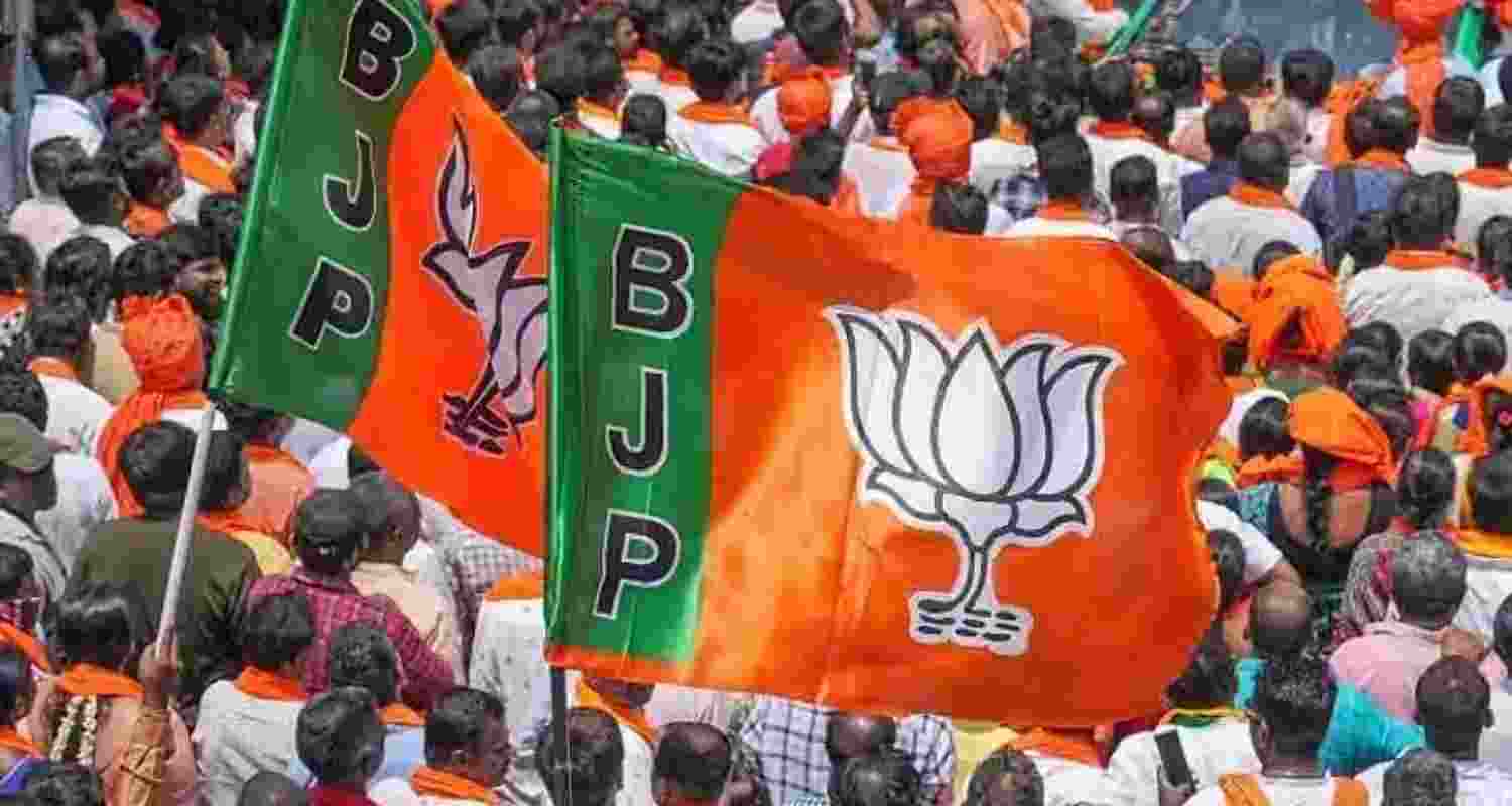 Flags of the BJP. Flags of the BJP.