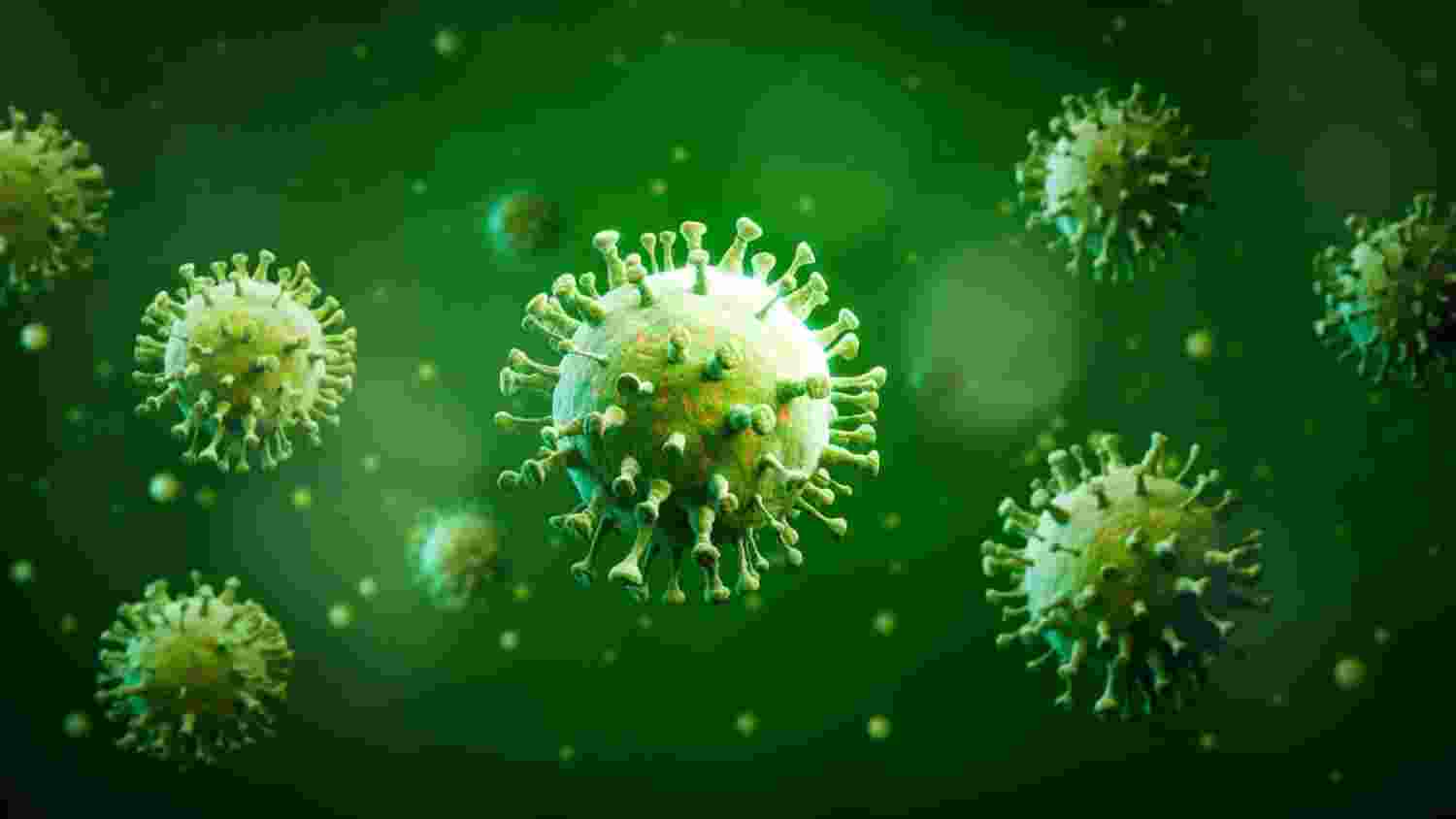 India confirms 53 Chandipura virus cases, 19 fatalities India confirms 53 Chandipura virus cases, 19 fatalities