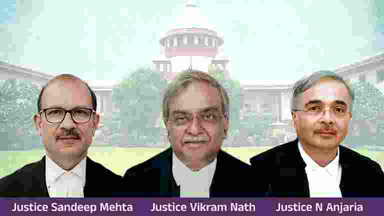 SC refers stray dog case to new 3-judge bench, hearing tomorrow SC refers stray dog case to new 3-judge bench, hearing tomorrow