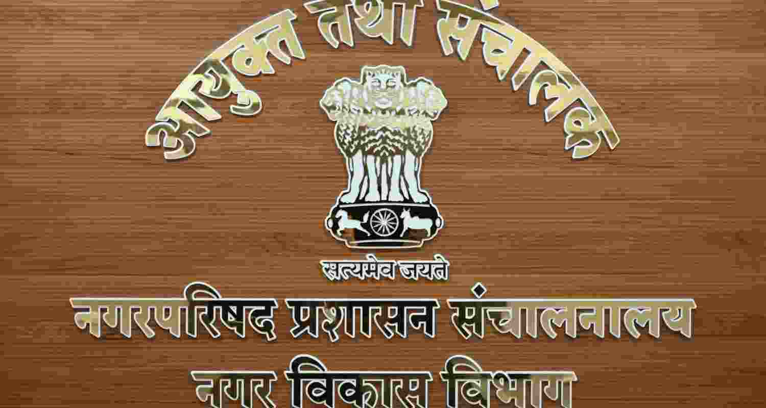 In the first phase, votes were cast for 263 municipal councils and nagar panchayats In the first phase, votes were cast for 263 municipal councils and nagar panchayats