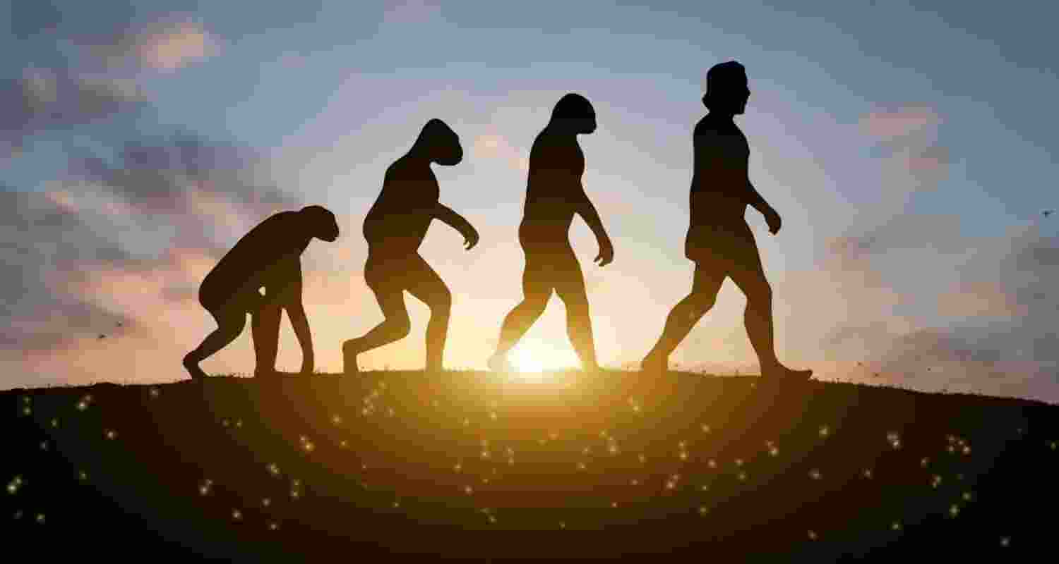 Human body a patchwork of evolutionary compromise Human body a patchwork of evolutionary compromise