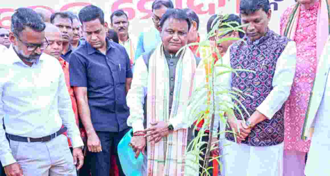 Odisha govt plants 1 crore saplings on PM Modi’s 75th birthday Odisha govt plants 1 crore saplings on PM Modi’s 75th birthday